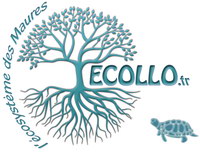 le logo ecollo ecollo.fr