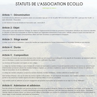 les statuts de l'association...