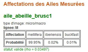 résultats de l'identification