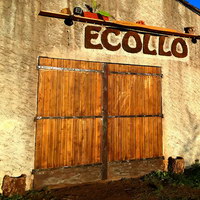 le local associatif ecollo écollocal